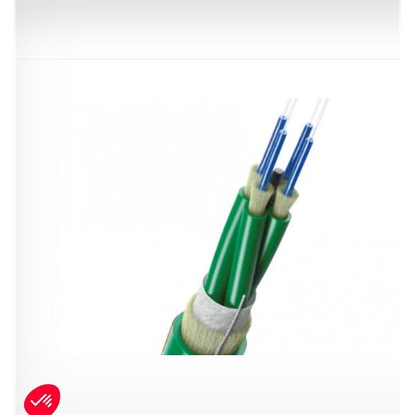 英國Scaime 2合1力傳感器K1882-100kN